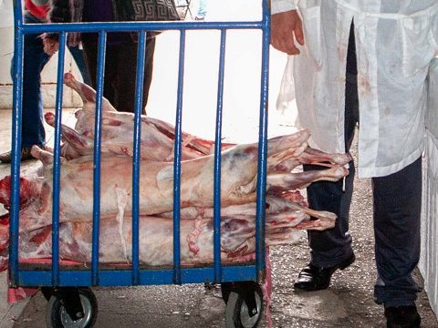 A bárányhús vásárlásának feltételeire figyelmeztet a rendőrség