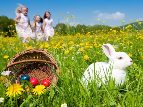 Húsvéti fejtörő: megtalálja a szívet a húsvéti tojáson?