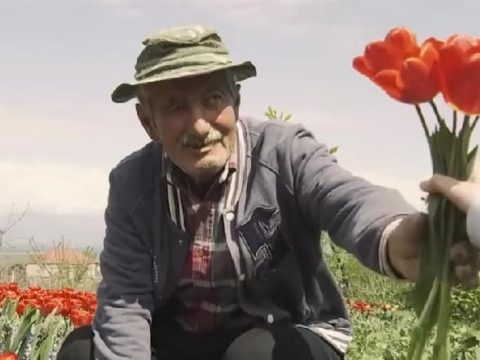 Megmenekült a csődtől egy idős virágárus, miután megvették az összes virágát az orvosoknak