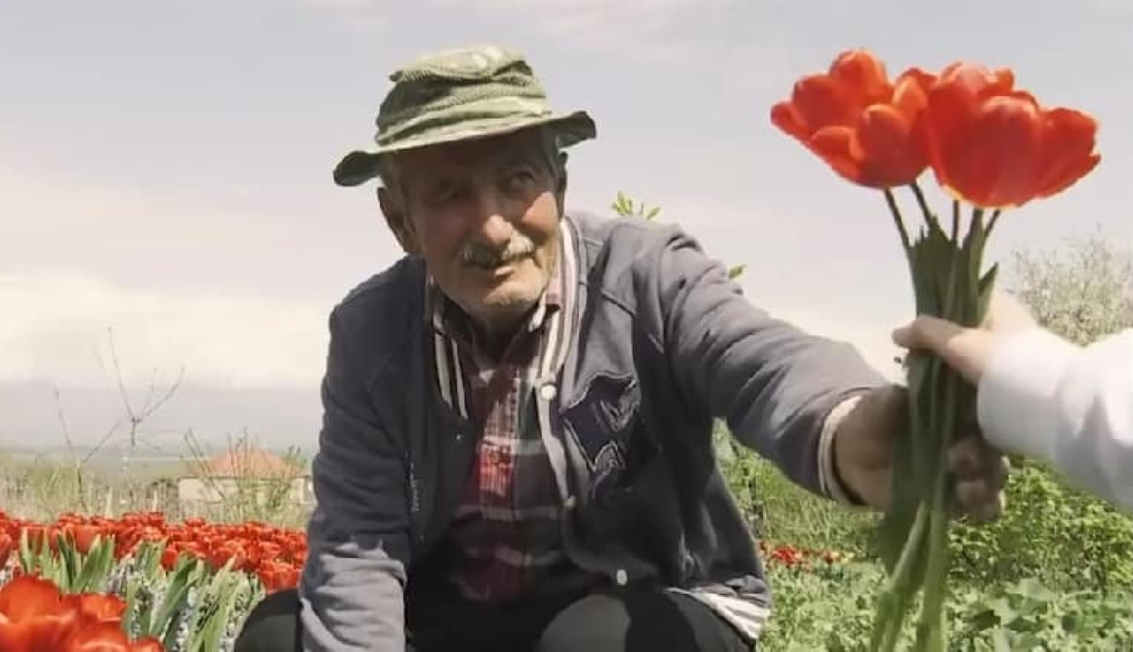 Megmenekült a csődtől egy idős virágárus, miután megvették az összes virágát az orvosoknak