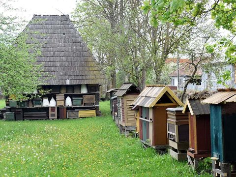 Idén elmarad a Burrogtató