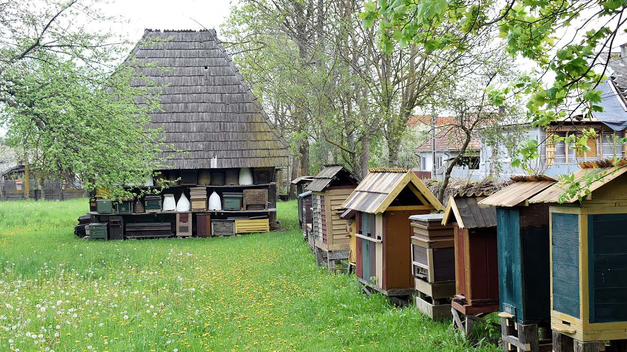 Idén elmarad a Burrogtató