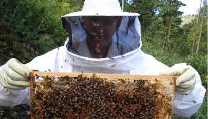 Ajándék a méhészeknek