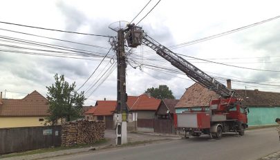 Szomszédjaink, a gólyák