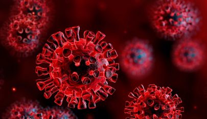 4310 új koronavírusos megbetegedést jelentettek 35.665 teszt elvégzése nyomán