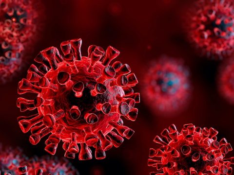 2668 új koronavírusos megbetegedést jelentettek 31.384 teszt feldolgozása nyomán