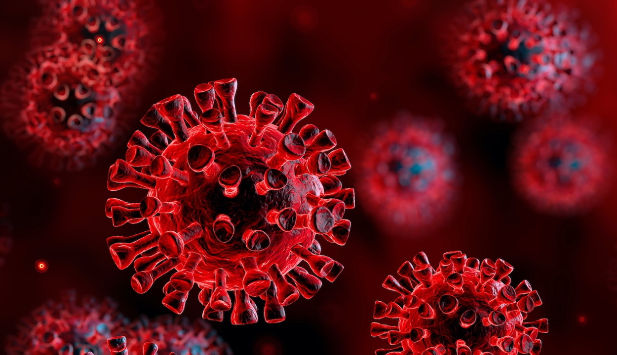 2620 új koronavírusos megbetegedést jelentettek 7704 teszt feldolgozása nyomán
