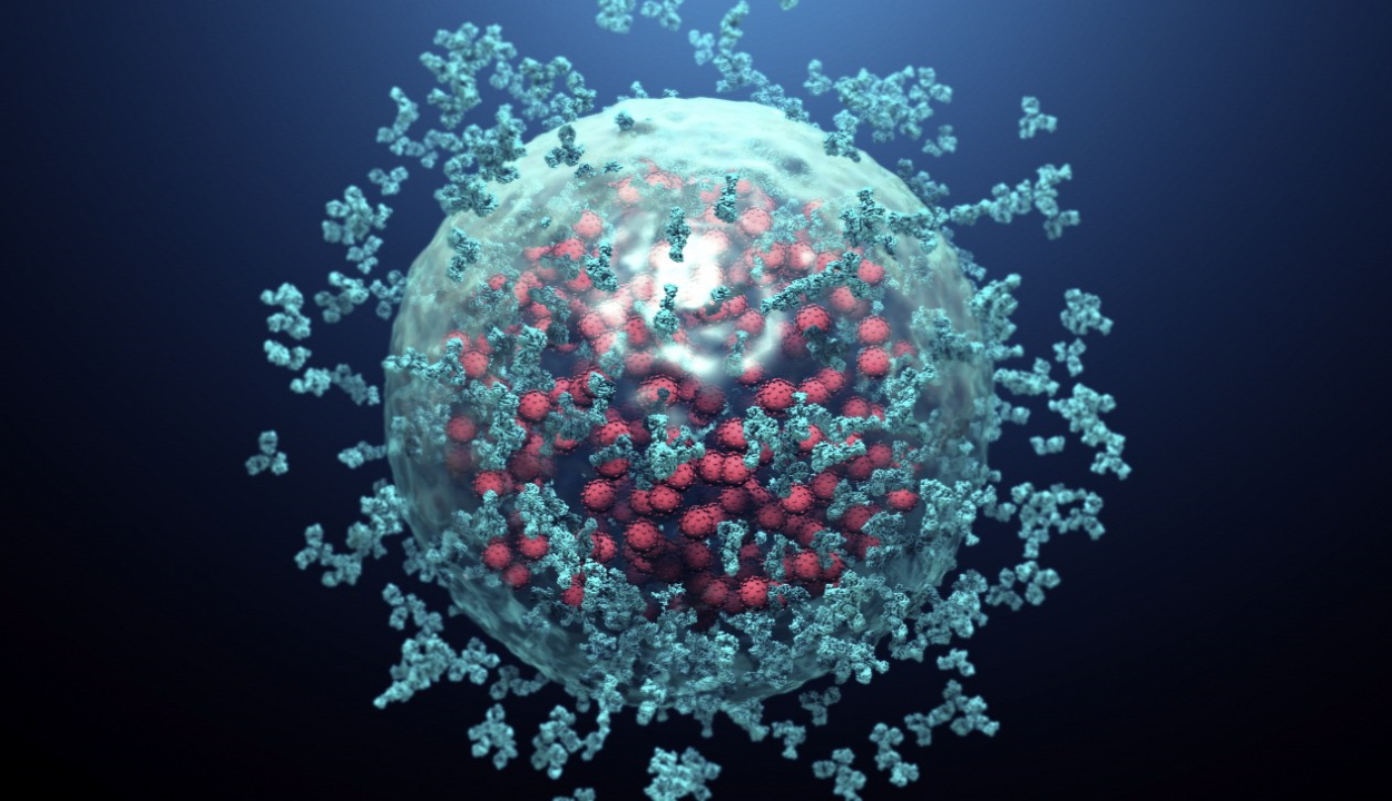 Találtak egy antitestet, ami megbéníthatja a koronavírust