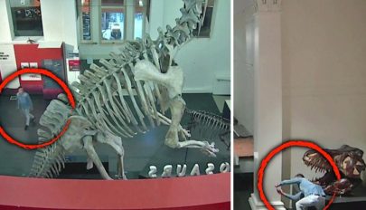 Betört a természettudományi múzeumba, majd szelfizett egy dinoszaurusszal