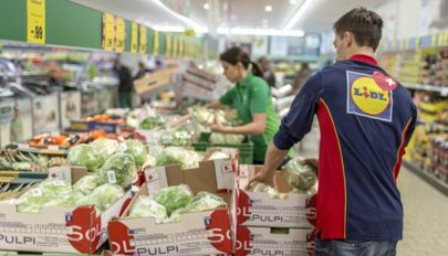 Ösztöndíjat ajánl a Lidl