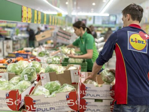 Ösztöndíjat ajánl a Lidl