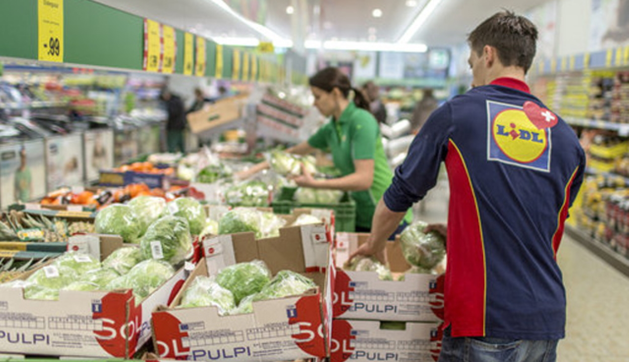 Ösztöndíjat ajánl a Lidl