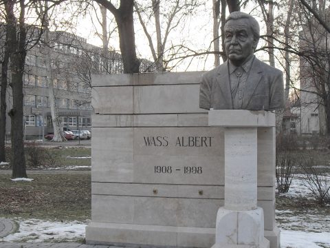 Ügyészség: nem tilos megemlékezni Wass Albert irodalmi munkásságáról
