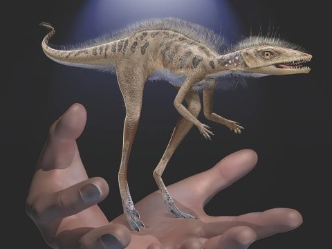 Apró élőlények lehettek a dinoszauruszok ősei