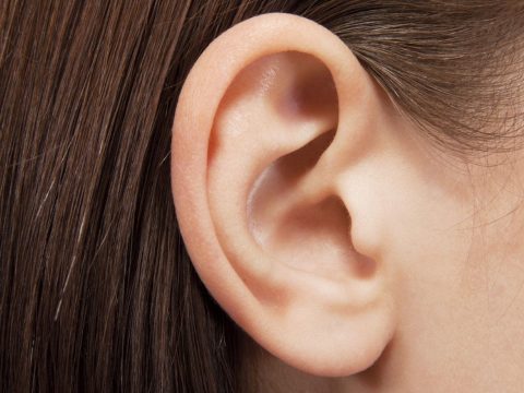 Az ember is képes „hegyezni a fülét” német kutatók szerint