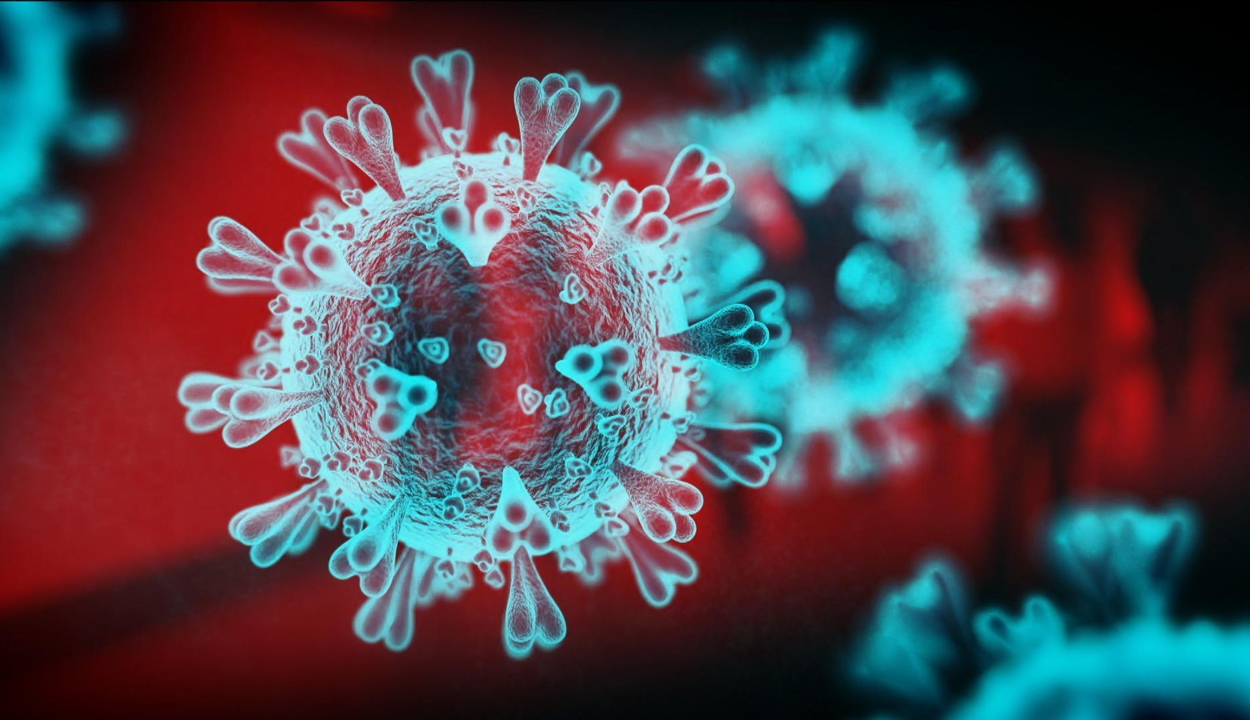 2989 új koronavírusos megbetegedést jelentettek 36.942 teszt elvégzése nyomán