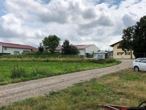 150 romániai munkás fertőződött meg koronavírussal egy németországi farmon