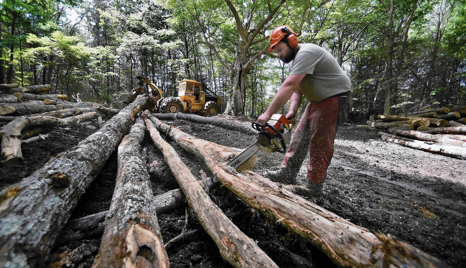 Nehéz az erdőtulajdonosoknak