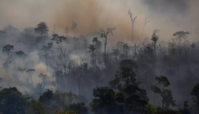 Ismét hatalmas tüzek pusztítanak Amazóniában