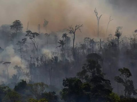 Ismét hatalmas tüzek pusztítanak Amazóniában