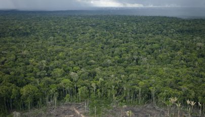 Együttes erővel mentenék meg az Amazonas esőerdőit Európa országai