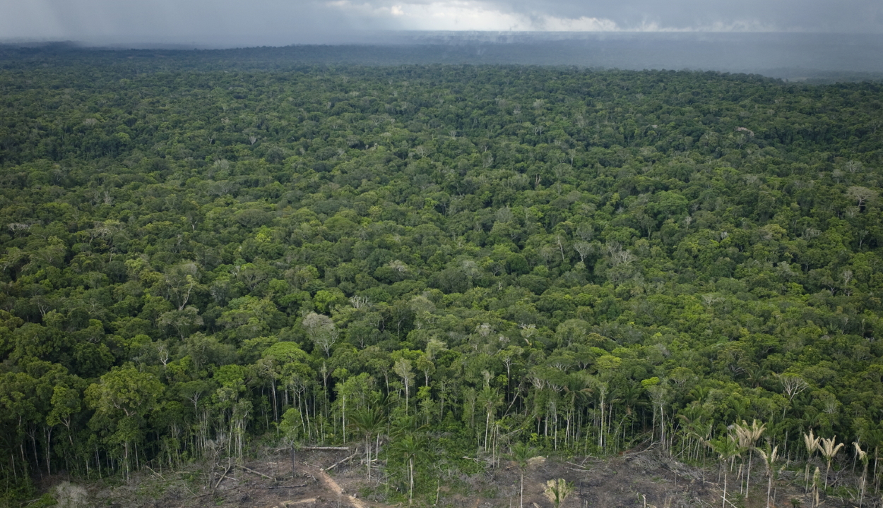 Több szén-dioxidot bocsátanak ki az Amazonas erdei, mint amennyit elnyelnek