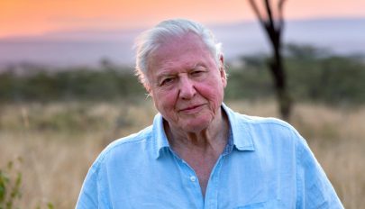 David Attenborough megkongatta a vészharangot, hamarosan egymillió faj halhat ki