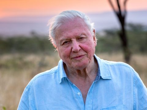 David Attenborough-ról nevezték el a legkorábbi ragadozót