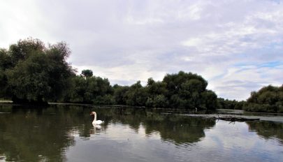 Háromoldalúvá válik a Duna-delta határokon átnyúló rezervátuma