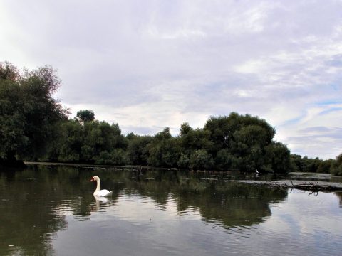 Háromoldalúvá válik a Duna-delta határokon átnyúló rezervátuma