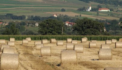 Fizeti az előleget az APIA