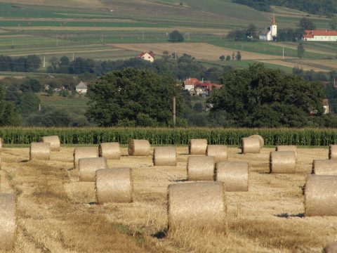 Fizeti az előleget az APIA