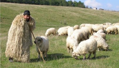 Támogatás a gazdáknak