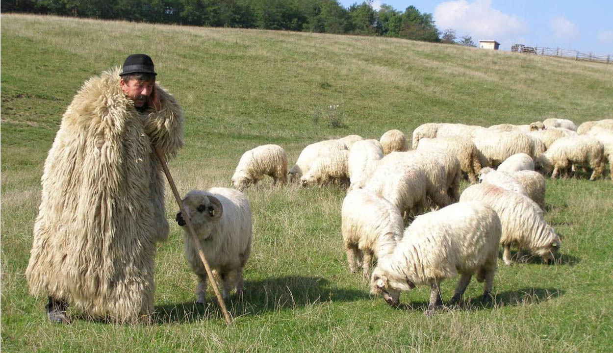 Támogatás a gazdáknak