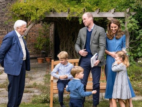 Vilmos herceg gyerekeinek válaszolt David Attenborough