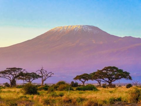 Tűz ütött ki Afrika legmagasabb hegyén, a Kilimandzsárón