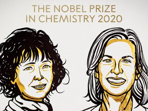 Génszerkesztésért ketten kapják a kémiai Nobel-díjat