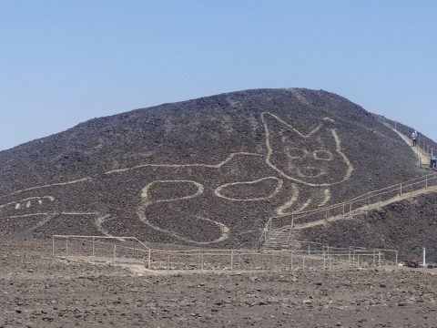 Hatalmas, 2000 éves macskát fedeztek fel a Nazca-vonalak közt