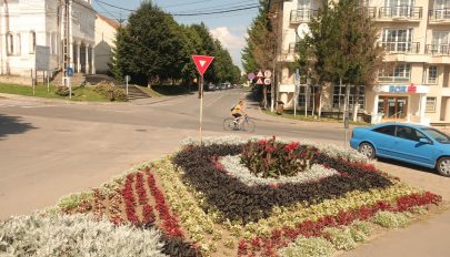 Megdöbbentő számok Barótról