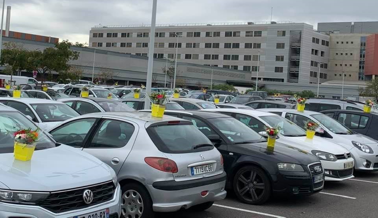 Csokrok százaival lepte meg az egészségügyi dolgozókat egy csődbe ment virágárus