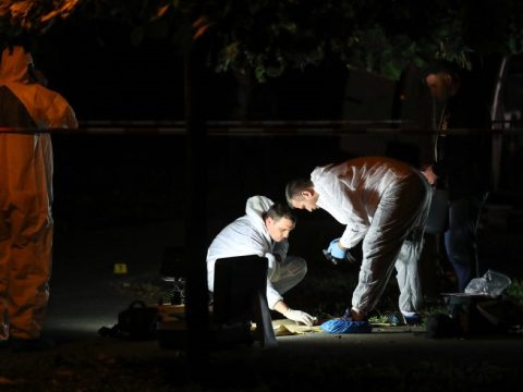 Összeégett női holttestet találtak Giurgiu megyében az országút szélén