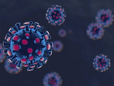 8072 új koronavírusos megbetegedést jelentettek 32.441 teszt feldolgozása nyomán