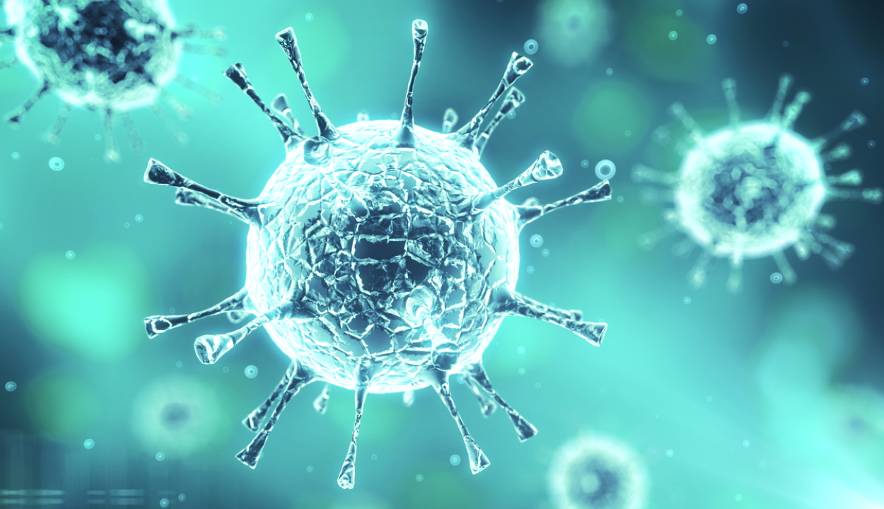 8062 új koronavírusos megbetegedést jelentettek 35.467 teszt feldolgozása nyomán