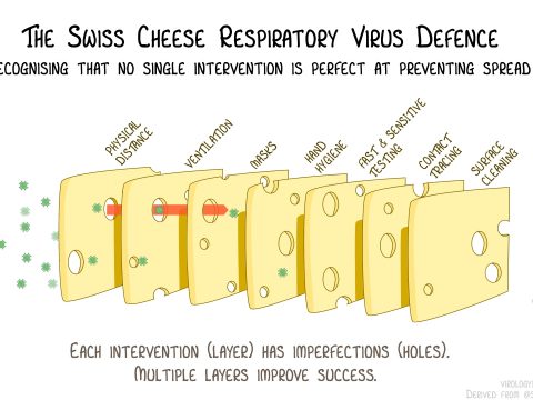 A svájcisajt-modell mutatja, hogyan védekezhetünk hatékonyan a vírus ellen