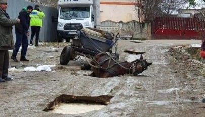 Az úton keletkezett kráterbe zuhant egy ló Teleormanban