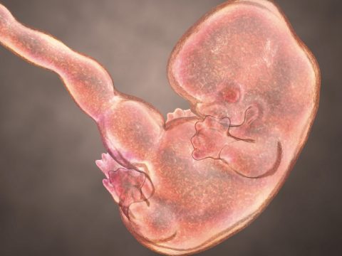 Meg nem született babák méhlepényében találtak mikroműanyagot
