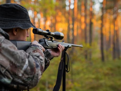 Alkotmányellenes az a törvény, amely hat hónapos gyakorlathoz köti a vadászengedély megszerzését