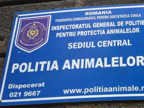 Tizenhatszoros túljelentkezés van az állatvédelmi rendőrség által meghirdetett állásokra