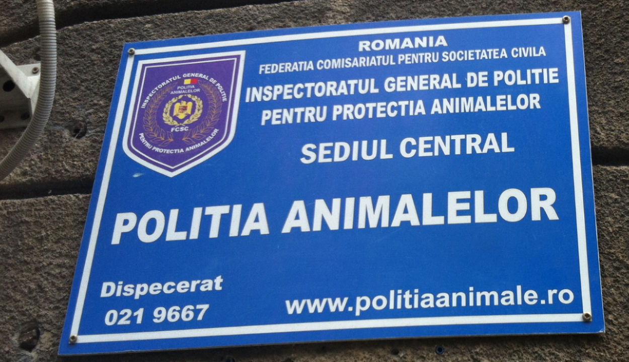 Tavaly 13 esestben indított bűnügyi eljárást a Kovászna megyei állatrendőrség