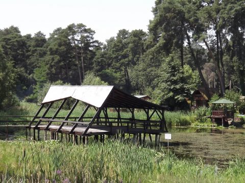 Erdély kevésbé ismert kuriózumai (12.) A Szent Anna-tó és a Mohos (II.)